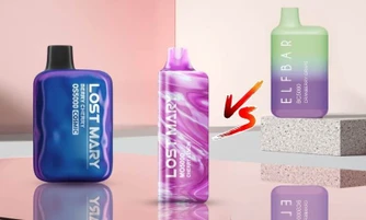 Lost Mary Vs Elf Bar: Distinguishing Features And Performance Compared