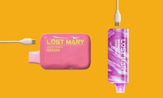 How To Charge A Lost Mary Vape?