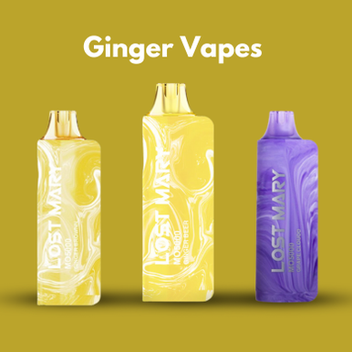Lost Mary Ginger Vapes
