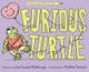 Furious Turtle View Product Image