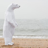 3D polar bear papercraft 1.32m