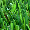 Artificial grass 1m x 25m x 30mm