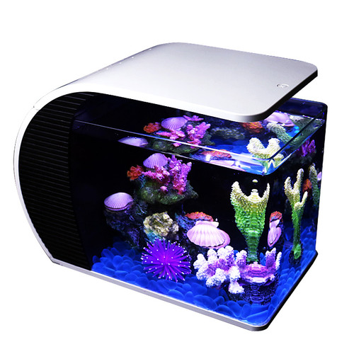 180Deg Aquarium Set 423X226X315mm