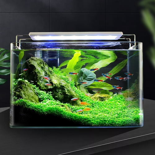 Aquarium LED Light 5W