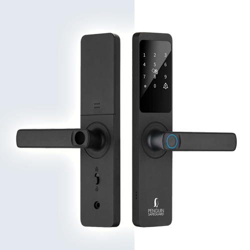 TUYA  DOOR ELECTRIC LOCK SET DDA1