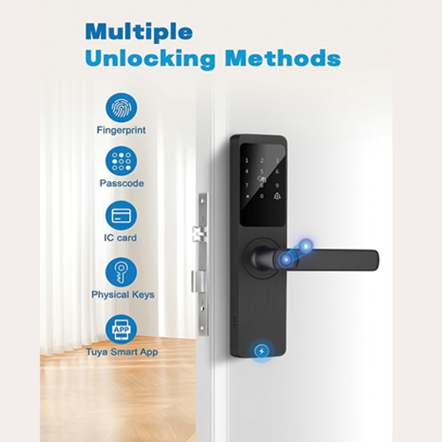TUYA  DOOR ELECTRIC LOCK SET DDA1