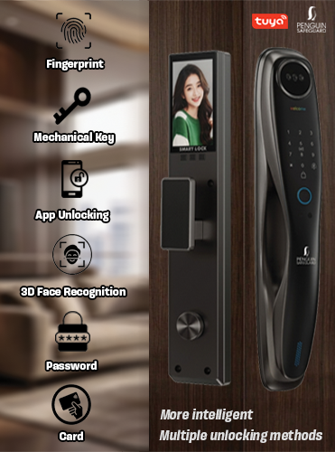 Penguin Safeguard Tuya Smart 3D Face Door Lock Set H6