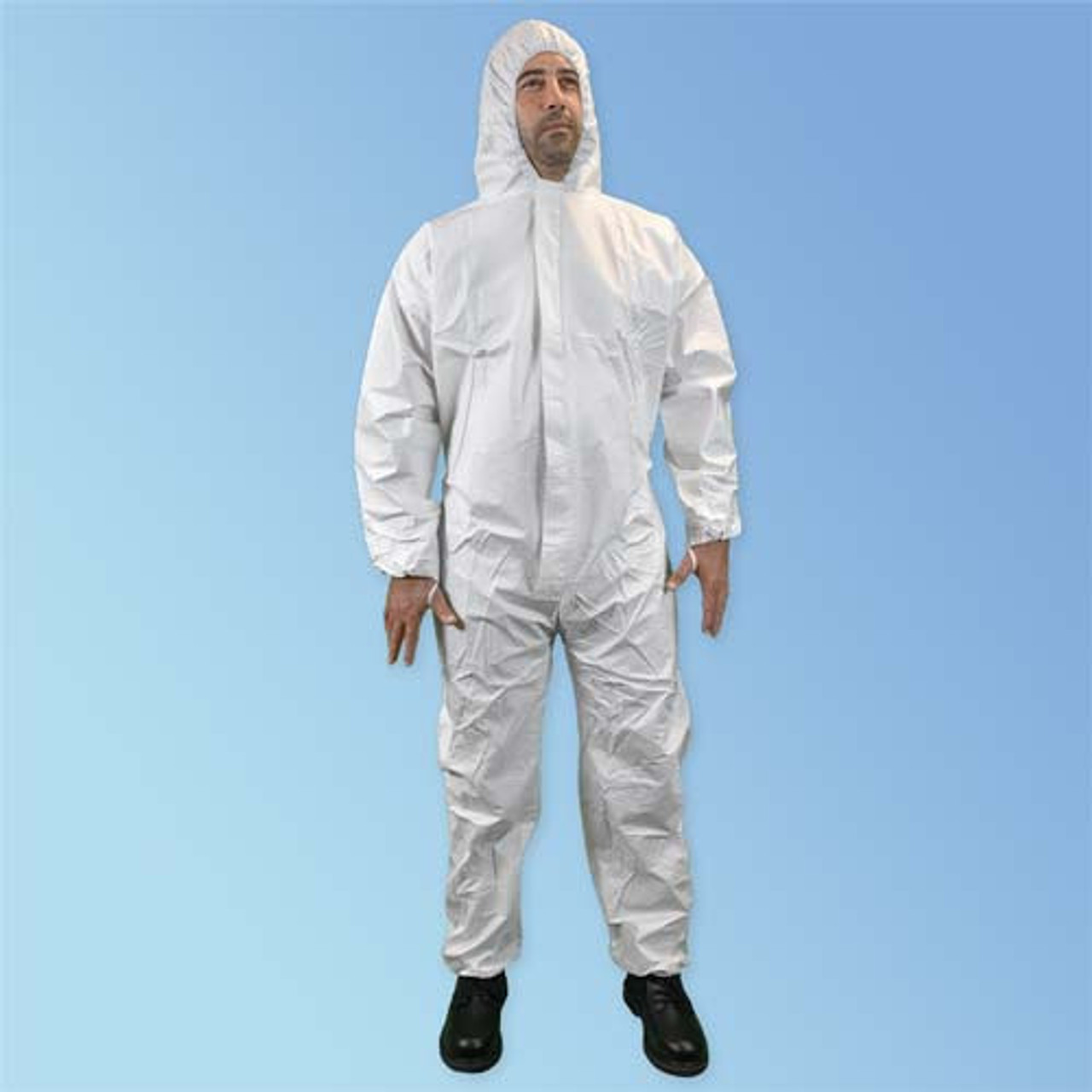 STAINMASTER (Sample) Uptown trend III Cloud White Gray 58-oz