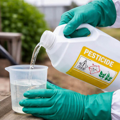 Chemical Resistant Gloves