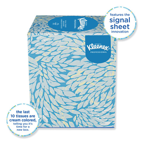 Kleenex® Professional Facial Tissue (03076), 2-Ply, White, Flat Facial Tissue  Boxes for Business, Convenience Case (125 Tissues/Box, 12 Boxes/Case, 1,500  Tissues/Case)