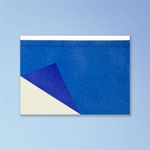 Marsh Pogo B Tissue Stencils, Blue, 1 3/4 x 4 in. Print Area, 1000/case