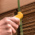 Klever Kutter Safety Cutter