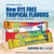 Tropical Flavors