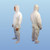 Disposable Hooded Coveralls