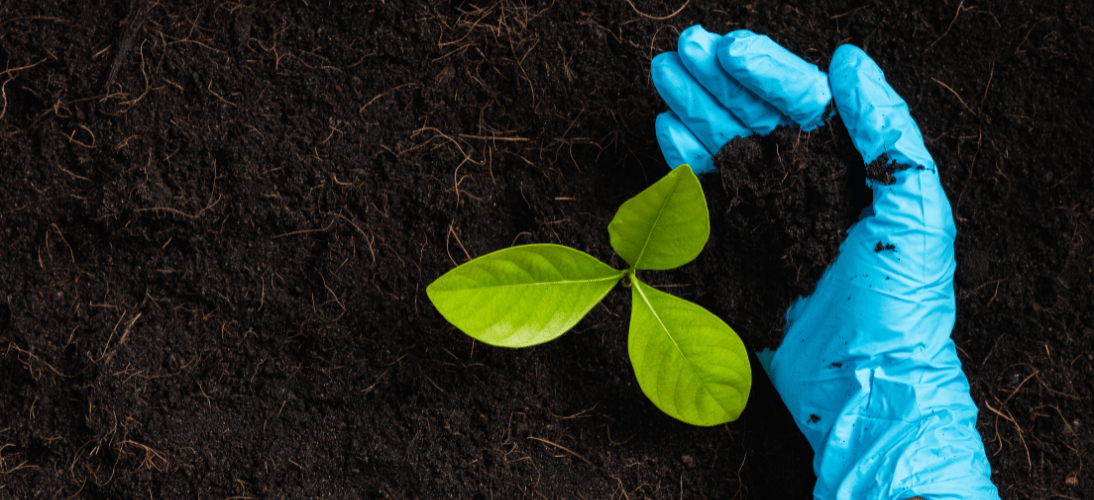 Eco Friendly Alternatives to Latex Gloves Harmony Lab & Safety Supplies