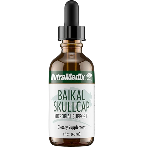 Baikal Skullcap