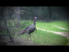 HEAD•BANGER™ Turkey Choke