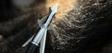 BROADHEAD SELECTION 101: FIXED OR MECHANICAL?