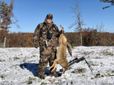 ​Why Coyote Hunters Like The Snow