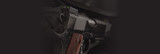 TRUGLO HANDGUN SIGHT REBATE PROGRAM