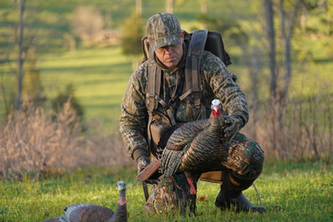 Effectively Shooting Open Field Gobblers