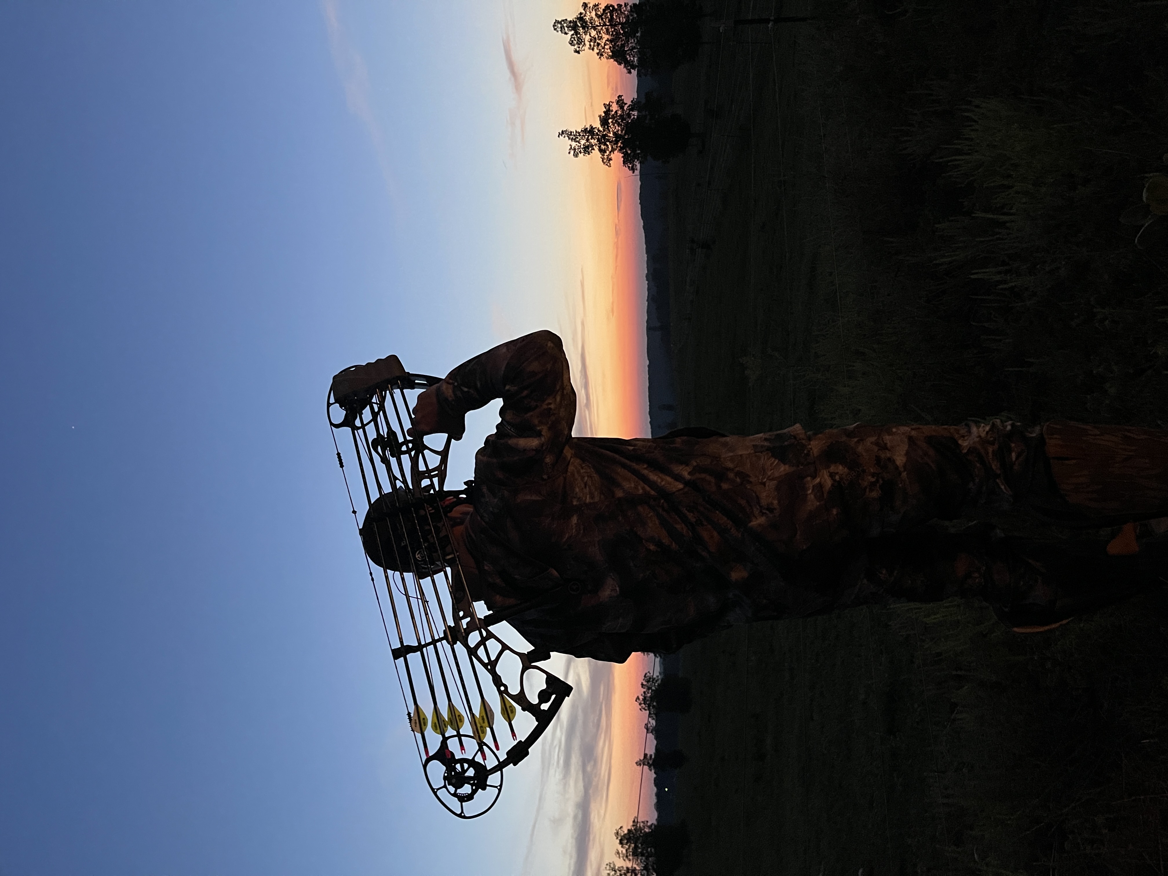 The Golden Hour Understanding Deer Movement at Last Light TruGlo