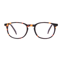 Teegan Tortoise Plastic High Power Reader Womens & Men 4.00-6.00