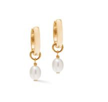 coeur de lion, hoops, gold, pearls, freshwater pearl, new in, gift, affordable 1135/30-1110