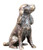 Richard Cooper and company , butler and peach collection, bronze sculpture, Spaniel - 2077