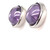 Silver Amethyst Round Stud Earrings  - AE8848AZ/R