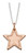 Celeste - little star jewellery, rose gold plate and silver star rim pendant, Adult,  gift, - LSN0350