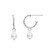 silver, earrings, hoops, ladies earrings, gift, hoop, freshwater pearl, post and butterfly, Harrisons jewellers, own line collection, 57734FP