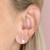 Gold Plated Silver small Leaf CZ and Pearls Stud Earrings - H7214/Y