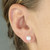 Silver Pearl Bouton Studs 8mm - R6434/W