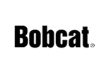 Bobcat