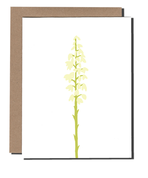 Yucca Flower