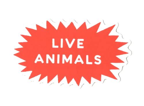 Live Animals sticker