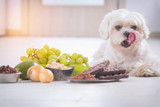 Is It Poisonous? Foods to Avoid Giving to Your Pets