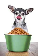 Feeding Guides: Does Your Pet Actually Like/Dislike Their Food?