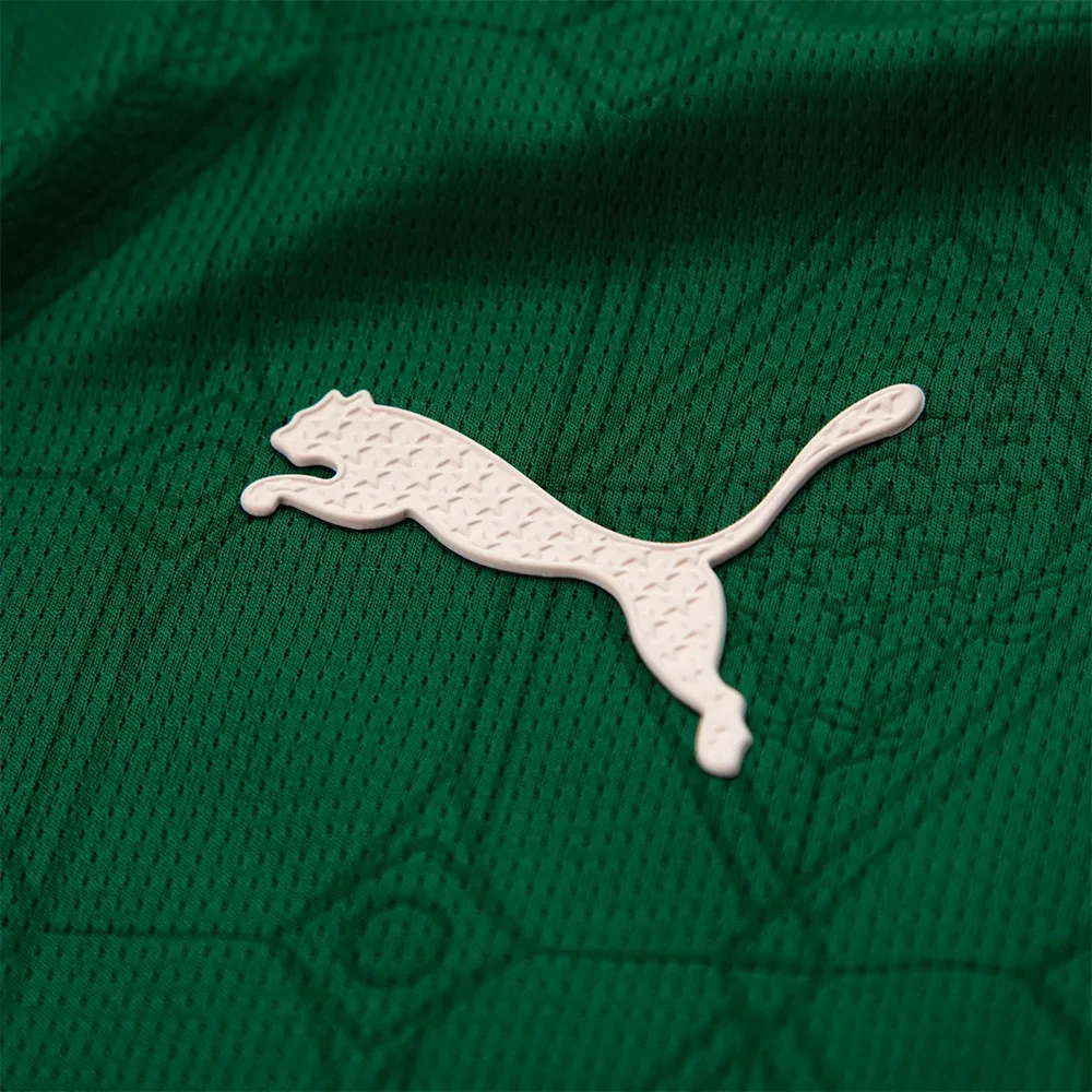 Palmeiras 25/26 Authentic Men's Home Shirt