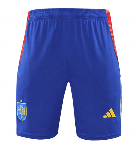 Spain 2024 Men's Light Blue Training Tank Top