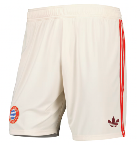 Bayern Munich 24/25 Authentic Men's Third Shirt