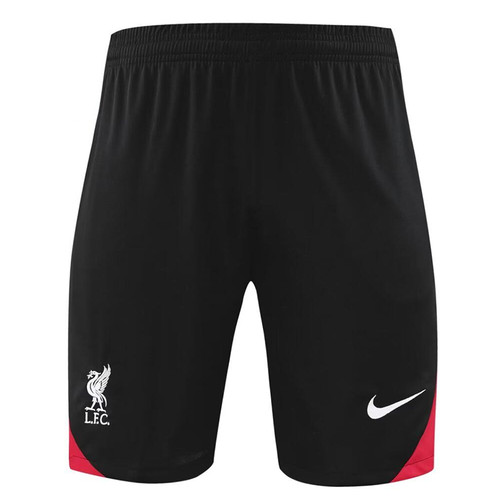 Liverpool 24/25 Men's Green Training Shirt