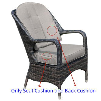 Replacement | Seat Cushion and Back Cushion for a PAC-009-BR Chair