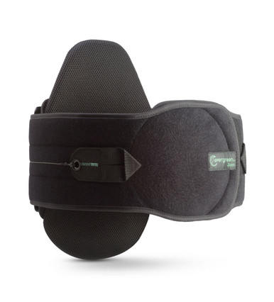 evergreen_631_1__19679.