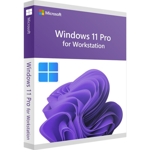 Microsoft Windows 11 Professional for 1 Workstation