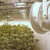 White High Velocity fans - Agriculture White High Velocity fans - Agriculture