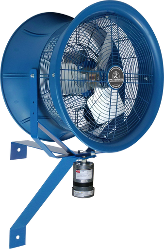 CWO_Fan__47648.1726756228.386.