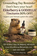 Groundhog Day Special — 24 Hours Only!