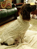 Aran Dog Coat - Natural White